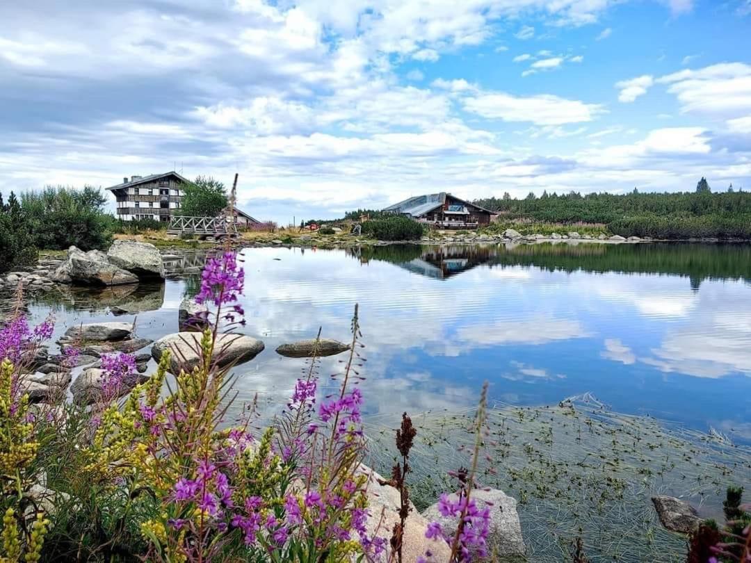 Alpine Lodge Bansko Apartments Exteriör bild